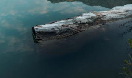 淺談城市污水處理方案及合理解決方案 淺談城市污水處理方案及合理解決方案