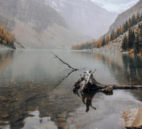 1648866060132482.png 微信截圖_20220402101905.png