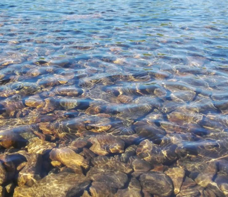 1658477965569378.jpg 21.jpg