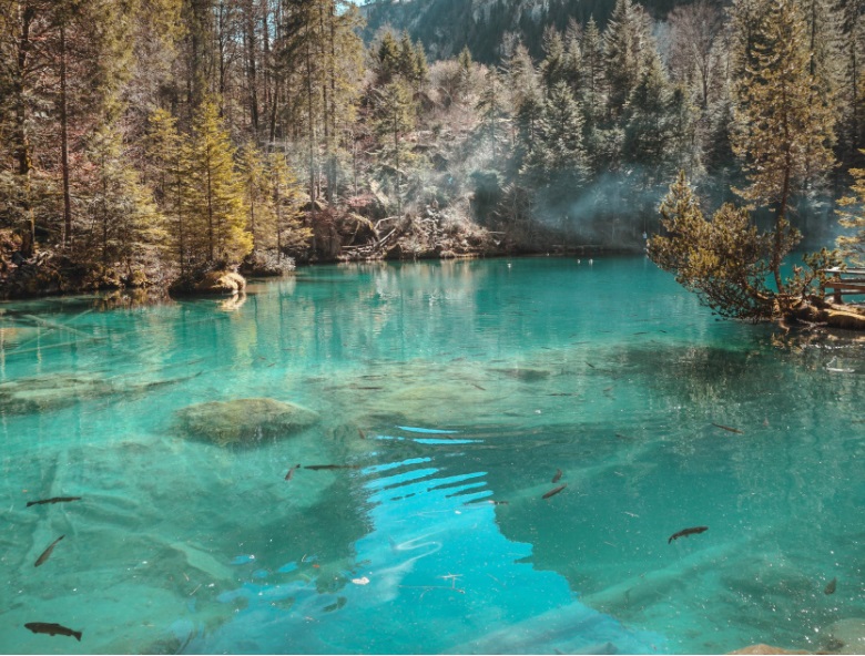 1670913346652897.jpg 4.jpg