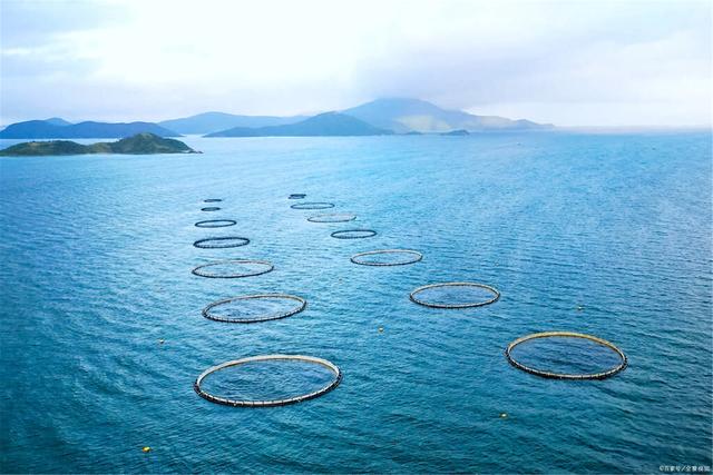 1680501204615629.jpeg e049dbcdf0a1d193f7fdf9a9c2b4feea.jpeg