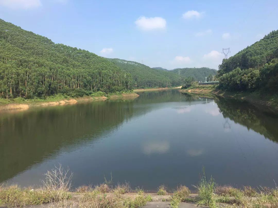 1685151705234149.jpeg 夏天.jpeg