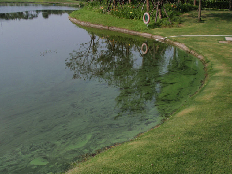 1688718810511696.png 渾濁.png