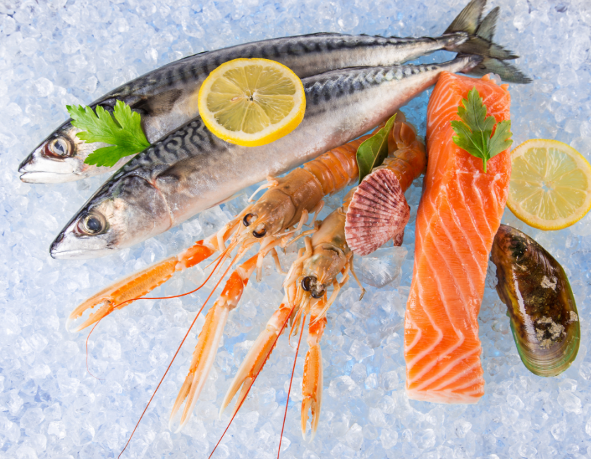 1693537304421910.png 1693537304421910.png