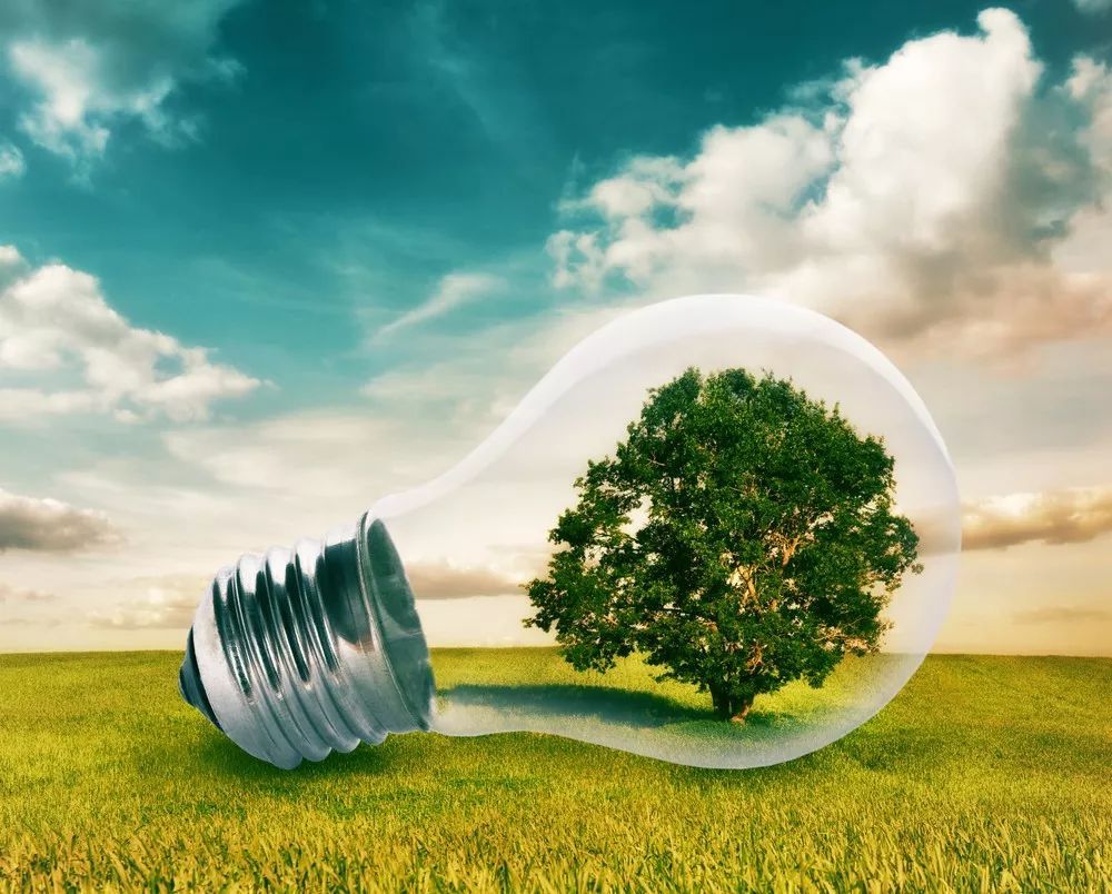 1698648420802056.jpg 1698648420802056.jpg