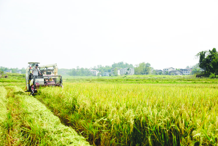 1700464759894653.jpeg 農(nóng)業(yè).jpeg