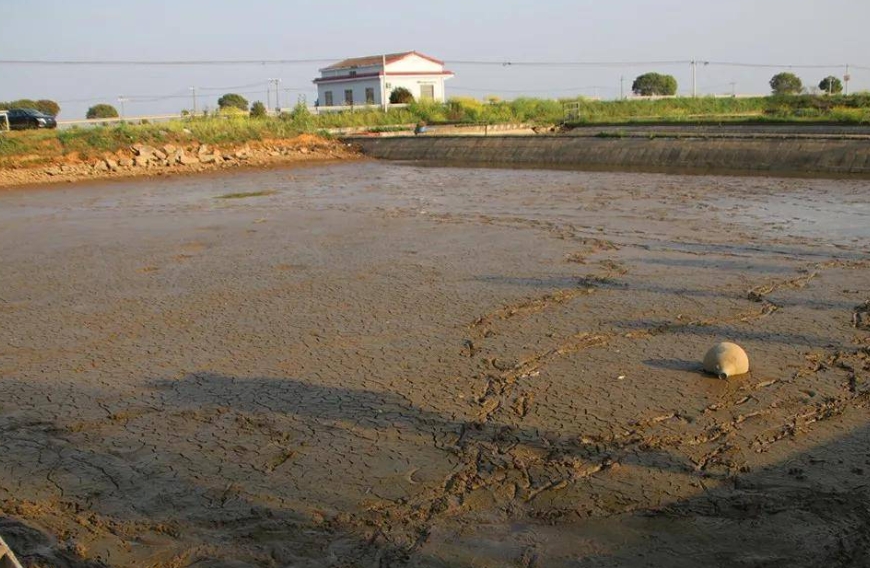 1702091149723894.jpg 1702091149723894.jpg