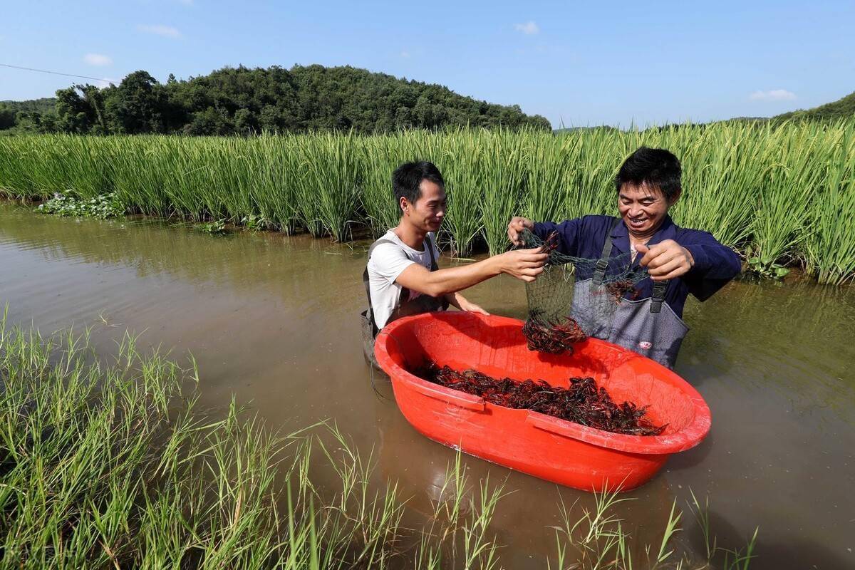 1712978205578287.png 1712978205578287.png