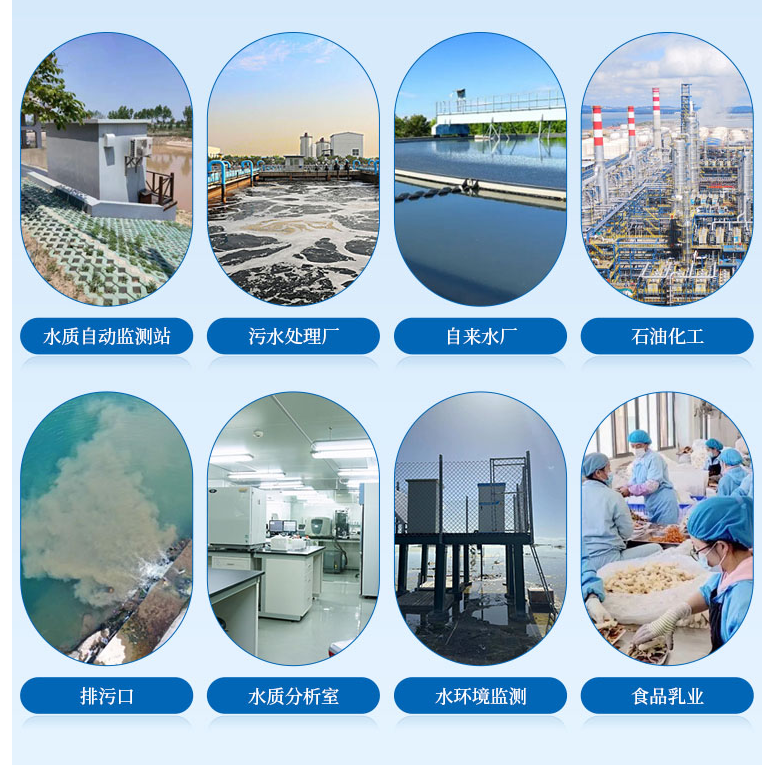 1713755787138112.png 葉綠素行業(yè).png