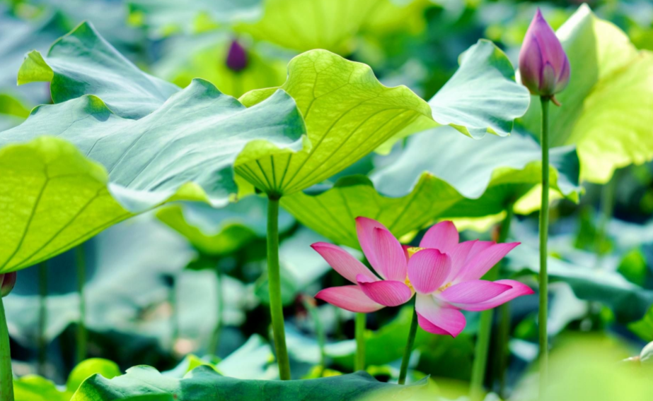 1715138640678625.png 1715138640678625.png