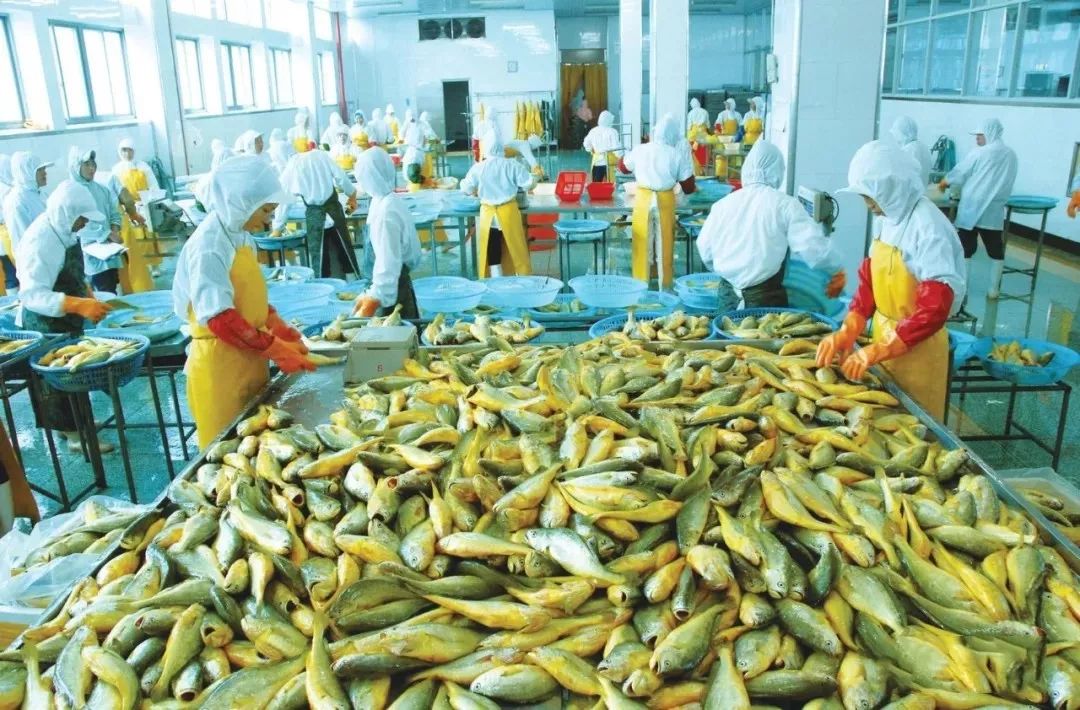 1715570392591082.jpg 1715570392591082.jpg