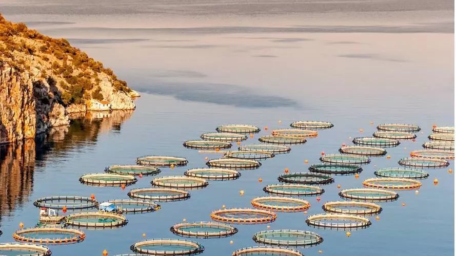 1715829058601074.jpeg 1715829058601074.jpeg