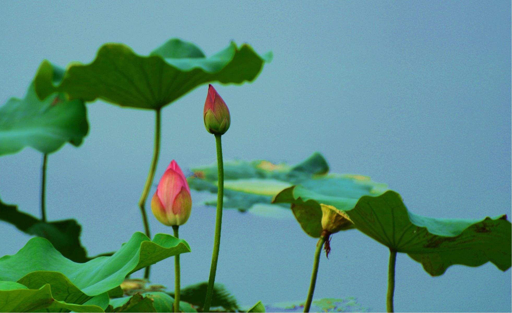 1722326380287540.jpeg 1722326380287540.jpeg