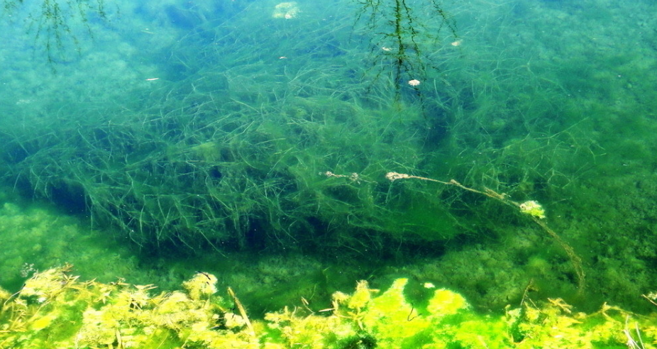 1725350021365668.png 1725350021365668.png