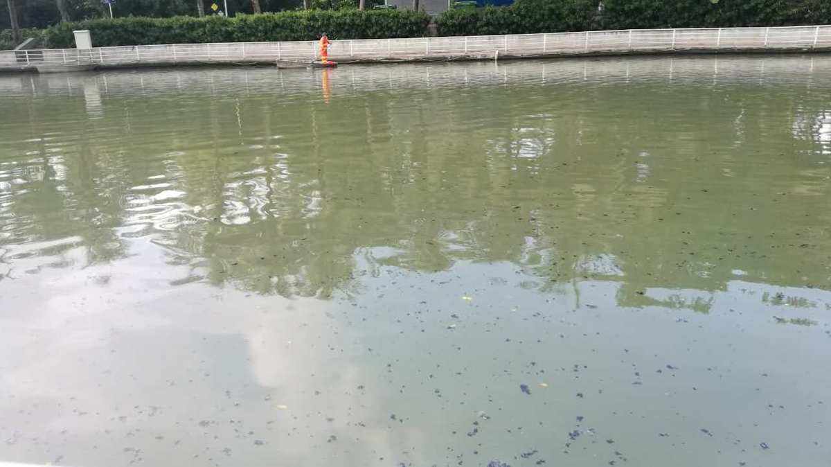 1726021469111749.jpeg 1726021469111749.jpeg