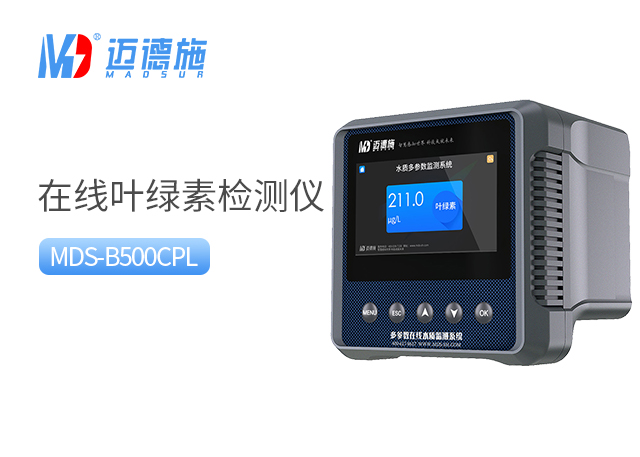 1728365498679115.jpg 葉綠素.jpg