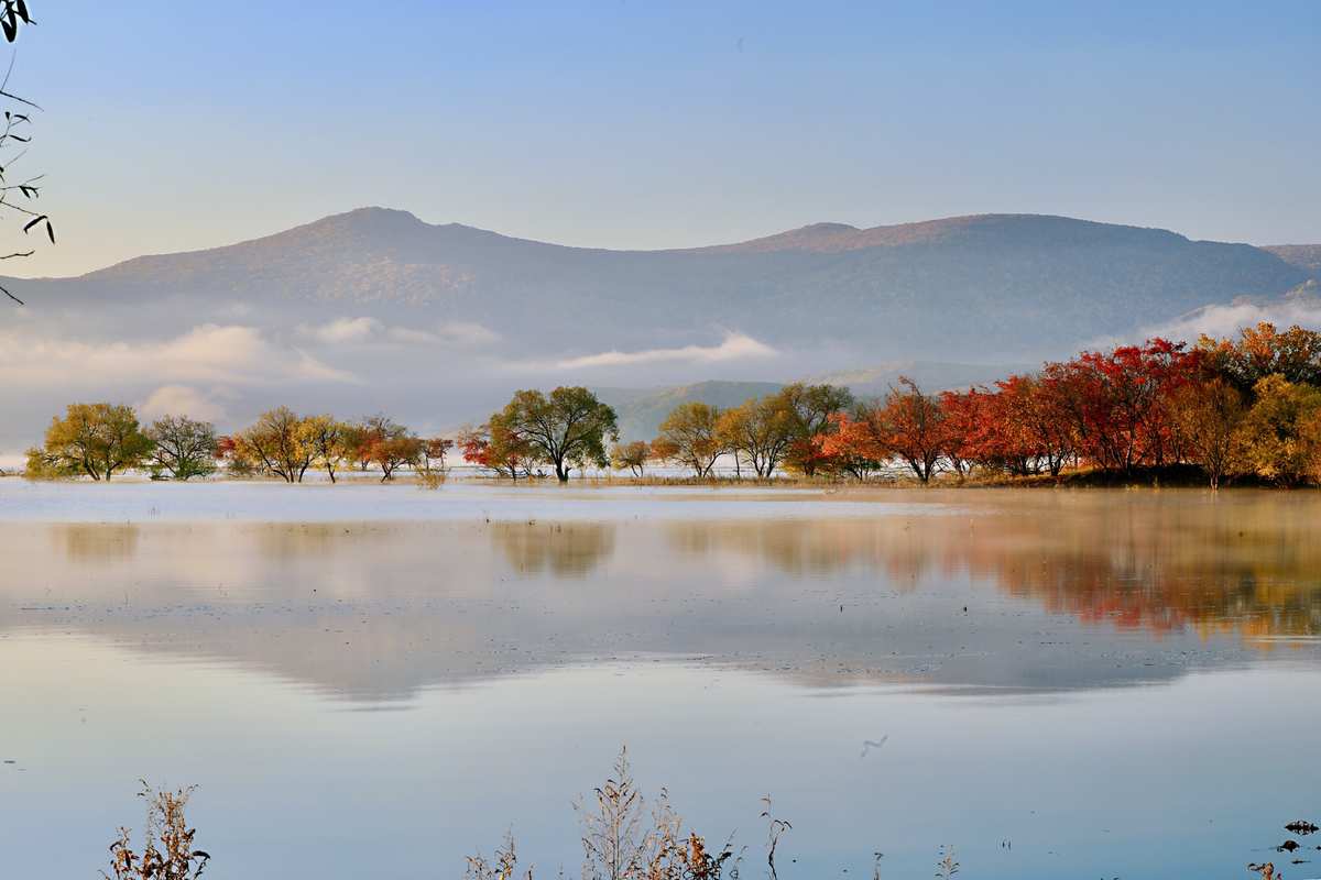 1729748183116340.jpg 1729748183116340.jpg