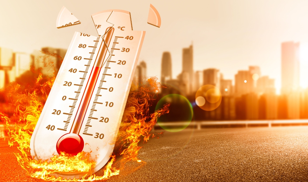 1731994482303888.png 1731994482303888.png