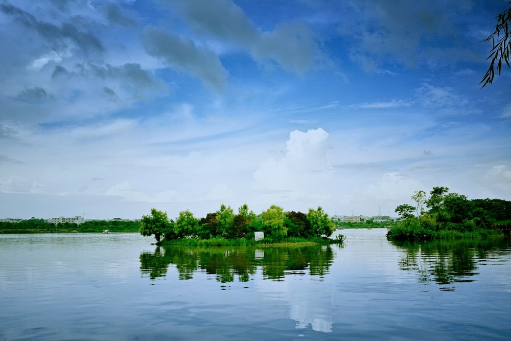 1733898011906596.jpg 1733898011906596.jpg