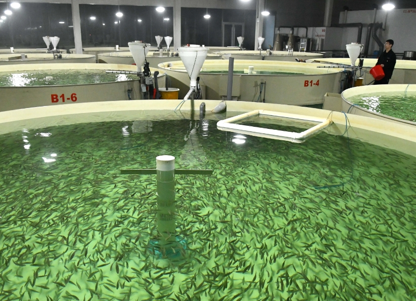 1736141116243100.png 1736141116243100.png