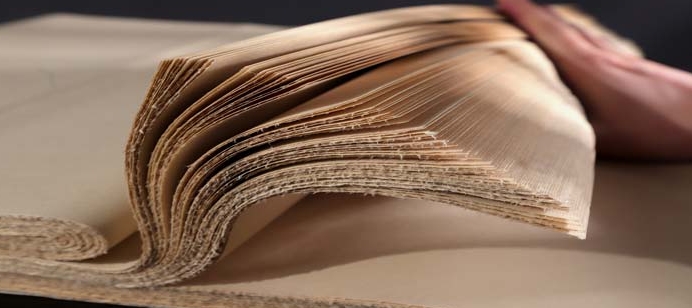 1736832521351692.png 造紙行業2.png