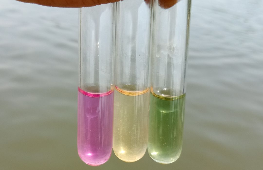 1736834620934595.jpeg 1736834620934595.jpeg