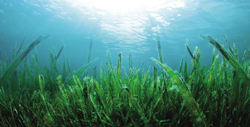 1739413941451276.jpeg 1739413941451276.jpeg