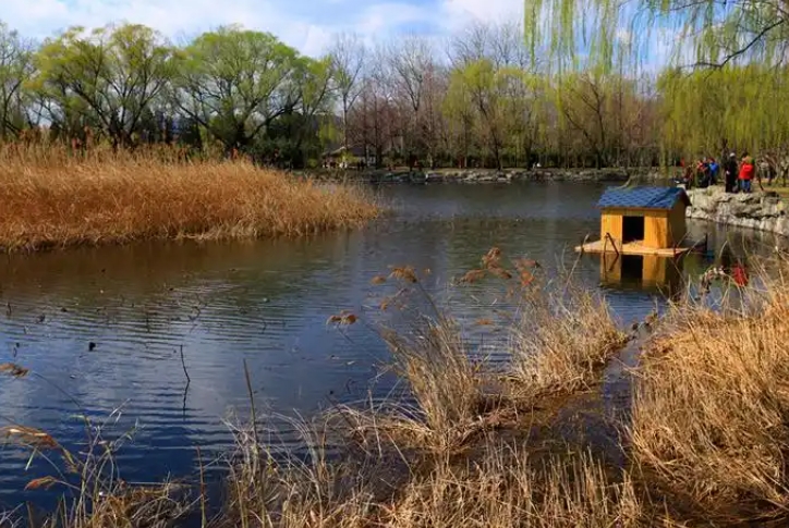 1741327768896037.jpg b0be3126e05c9985dbbc4d700a982e9e_1741326464274013.jpg