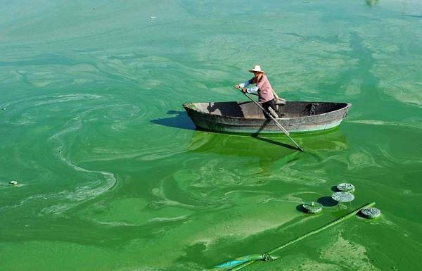 1743045207616976.jpg c45272496931698792ba8e148e1ffcd0_1742954106209000.jpg