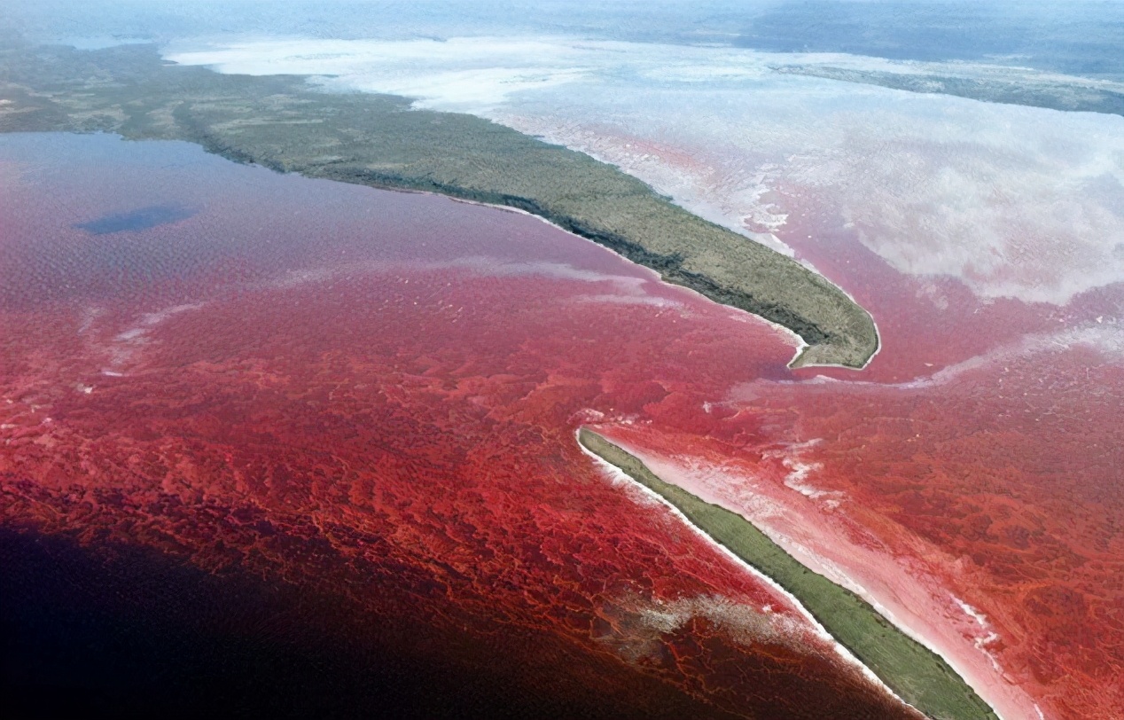 1743130154440075.jpg 1743130154440075.jpg