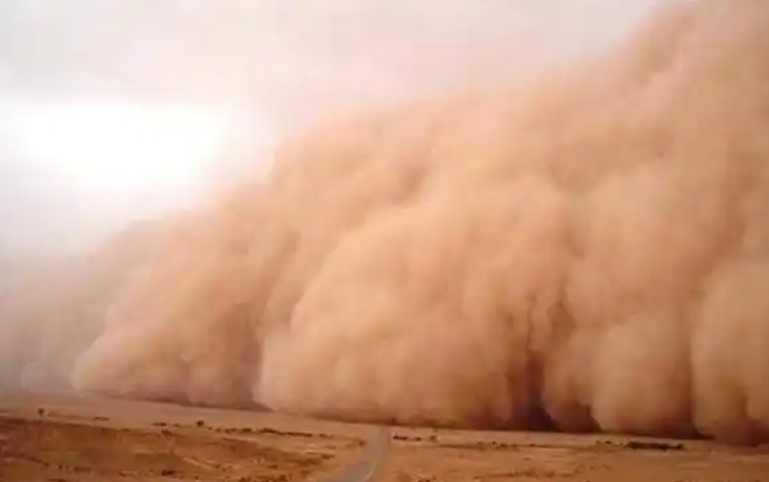 1743476417782101.jpg 1743476417782101.jpg