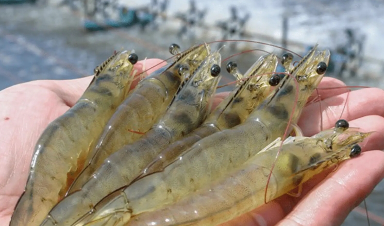 1744444418513558.jpg 1744444418513558.jpg