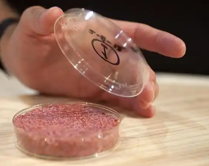 1744683923129622.jpg 人造肉.jpg