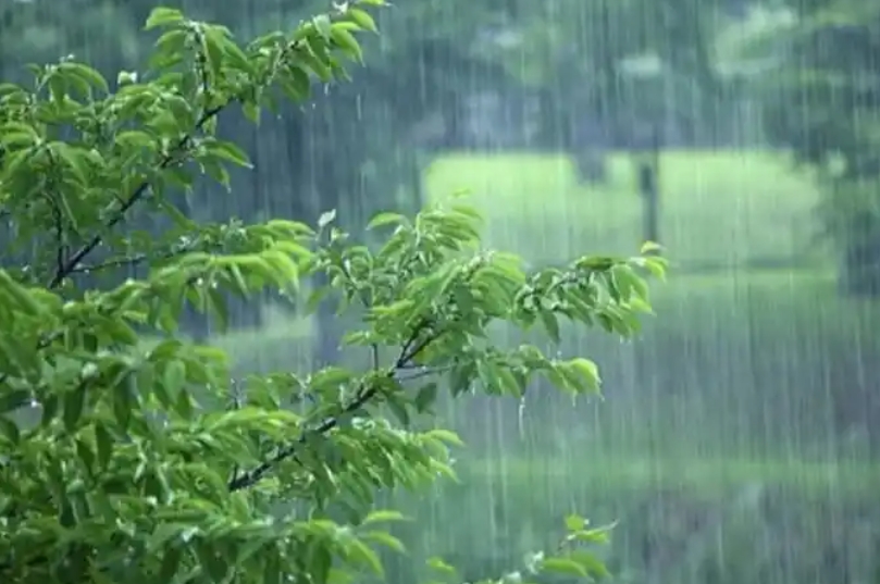 1750475185659514.jpg 1750475185659514.jpg