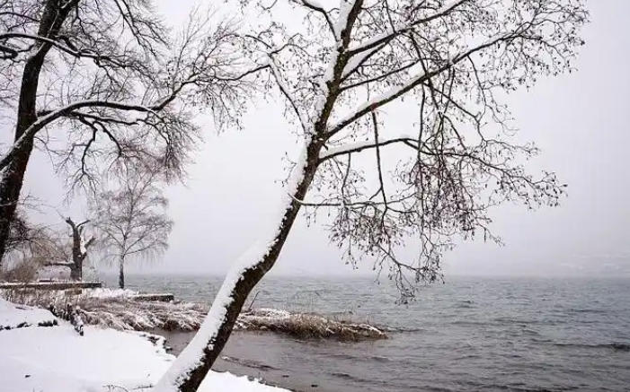 1767663375398549.jpg 下雪 .jpg