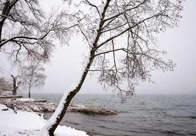 1767663969250086.jpg 下雪.jpg